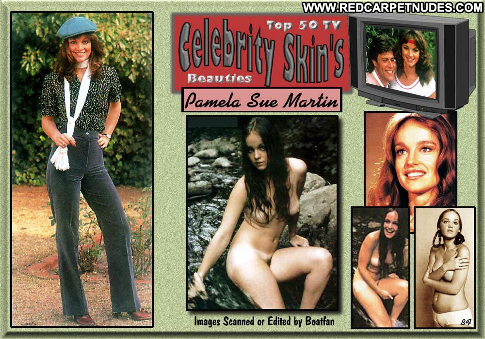 Pamela Sue Martin Celebrity Beautiful Babe Posing Hot.